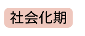 社会化期