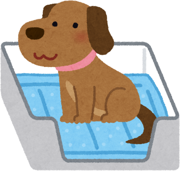 Illustration of a Dog Sitting on a Pet Pee Pad